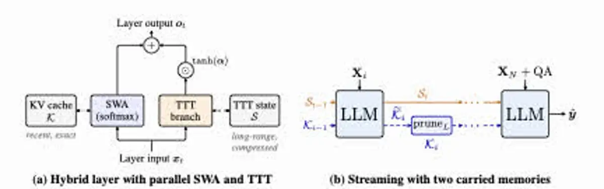 StreamTTT: Reconciling Real-Time Perception and Long-Term Memory in Streaming VLMs